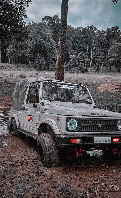 比分一度胶 比分一度胶