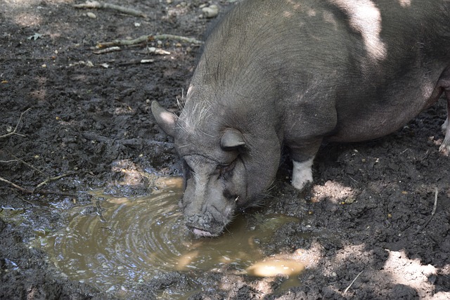 也增强了全 也增强了全