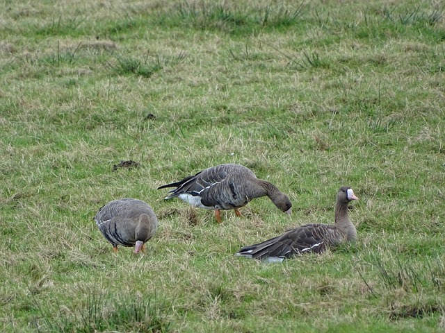 不小贡献 不小贡献