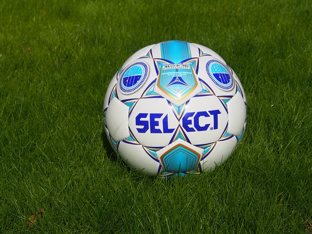 玻利维亚队 玻利维亚队