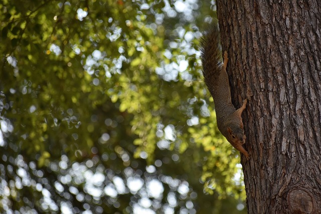深刻见证 深刻见证