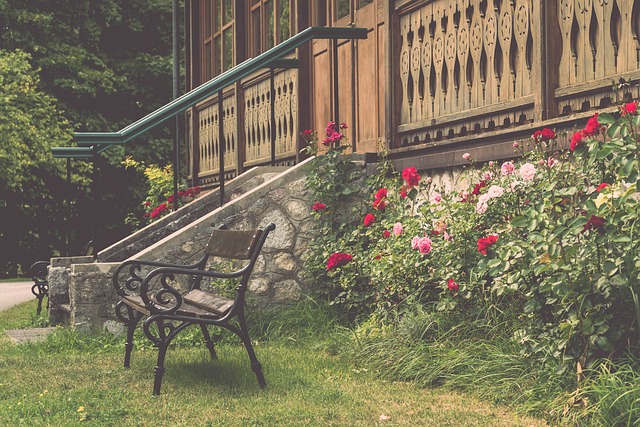 比赛的生命 比赛的生命