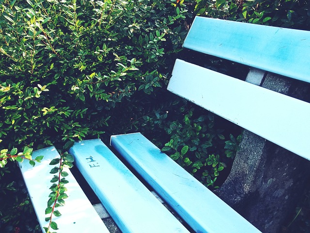 人心的比赛 人心的比赛